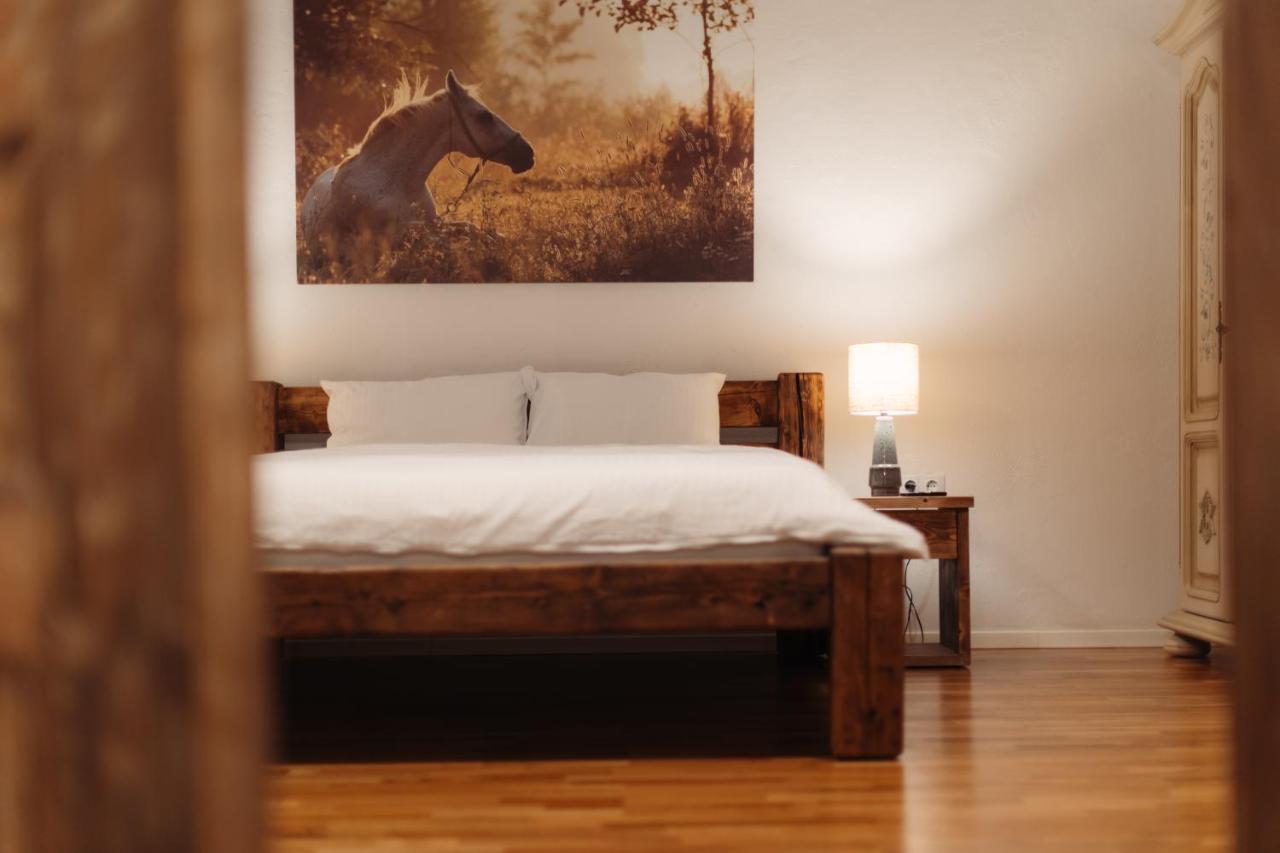 Casa 1901 Aparthotel Baia Mare Bagian luar foto