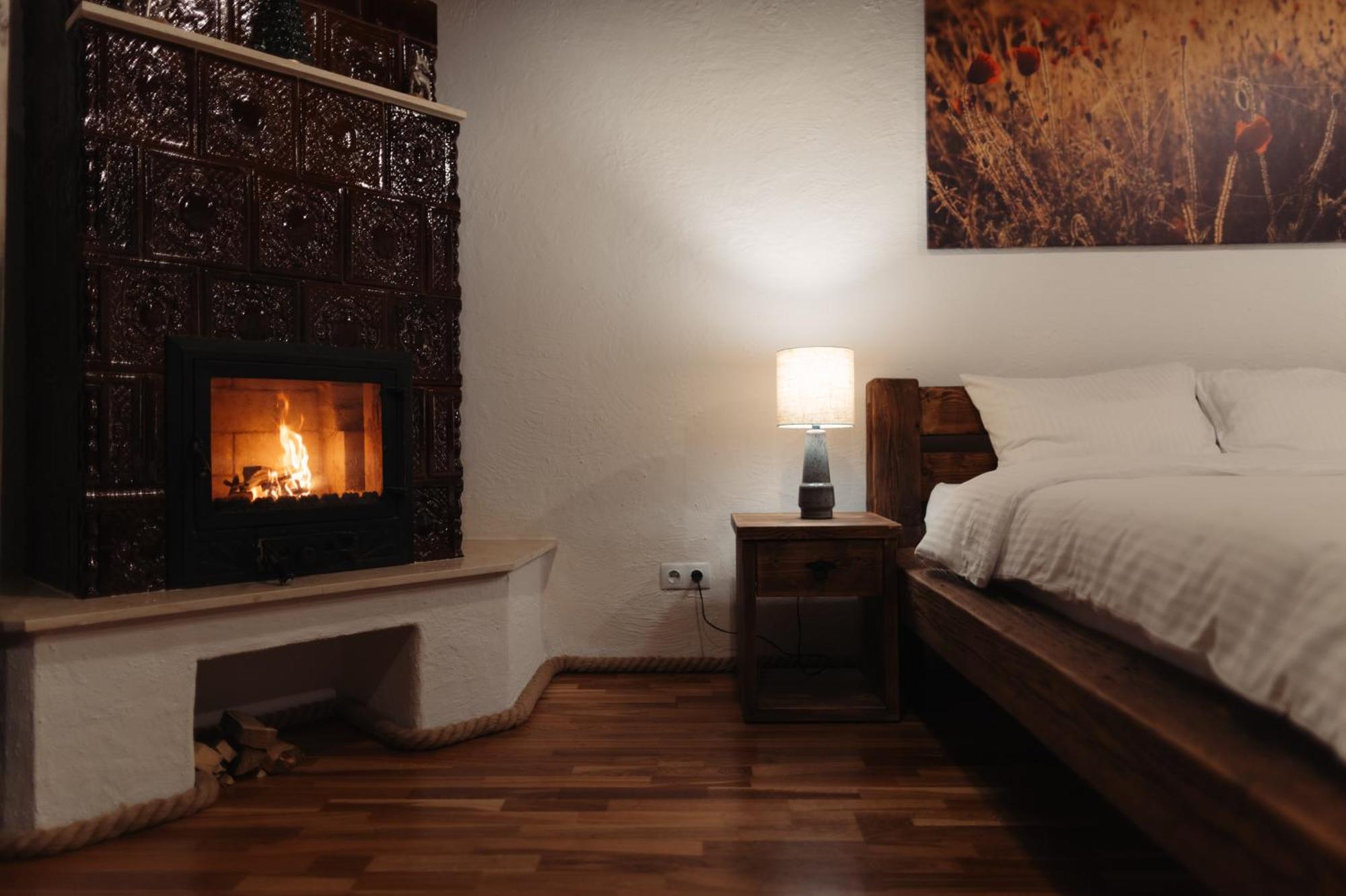 Casa 1901 Aparthotel Baia Mare Bagian luar foto
